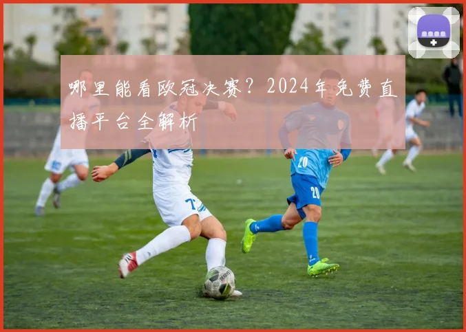 哪里能看欧冠决赛？2024年免费直播平台全解析