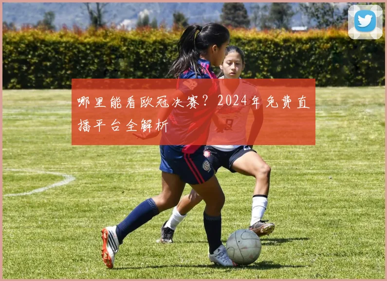 哪里能看欧冠决赛？2024年免费直播平台全解析