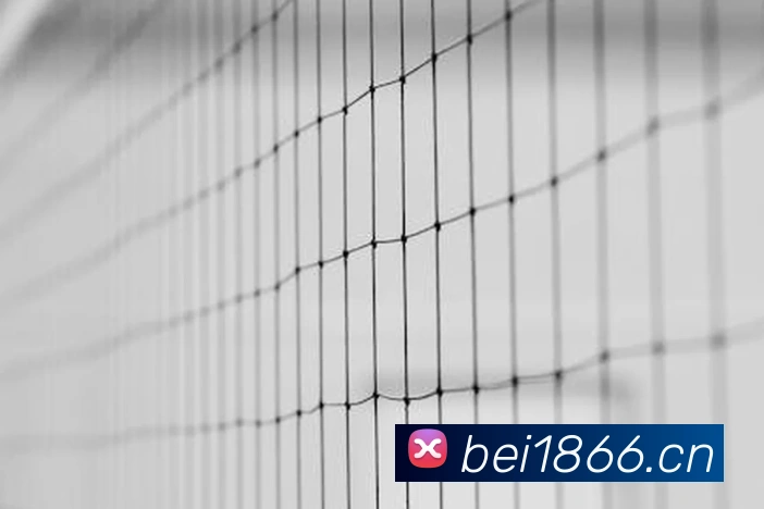 App Interface Preview