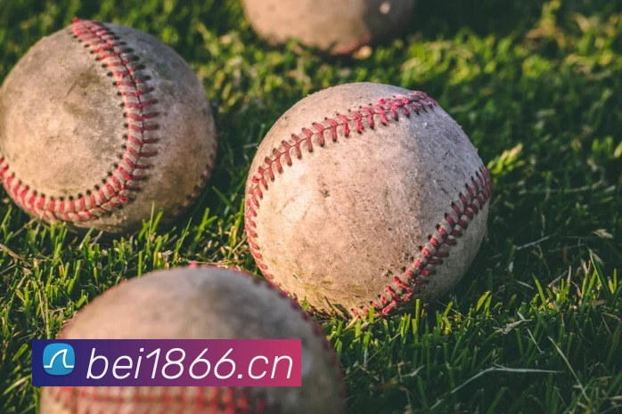 pg.cm国际APP 封面图